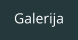 Galerija